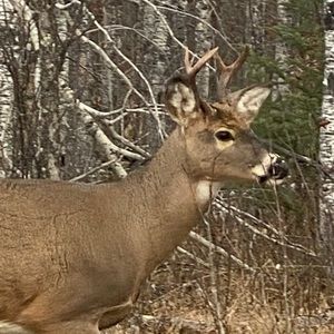 Meet your Posher, Anne